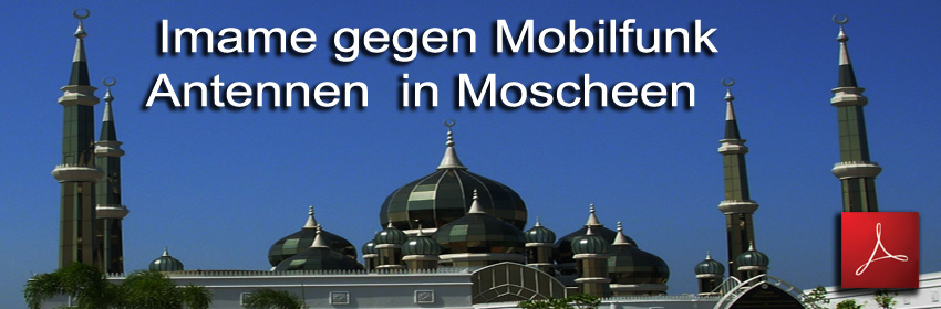 mame_gegen_Mobilfunk_Antennen_in_Moscheen_photo_Moschen_Terengganu_Malaysia